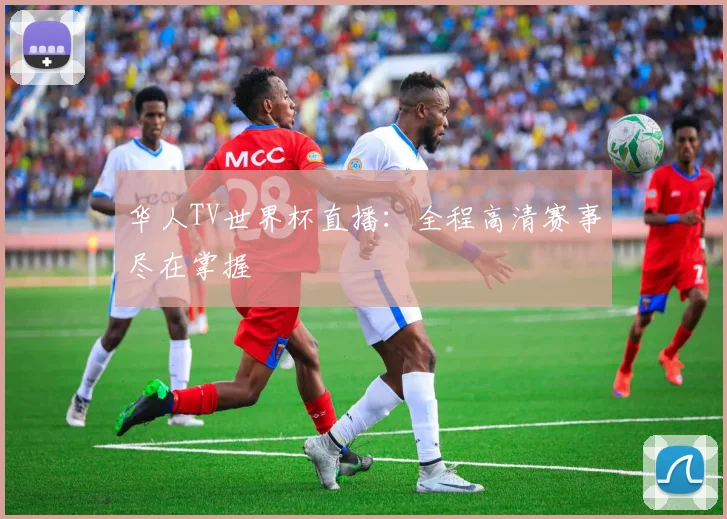 华人TV世界杯直播:全程高清赛事尽在掌握