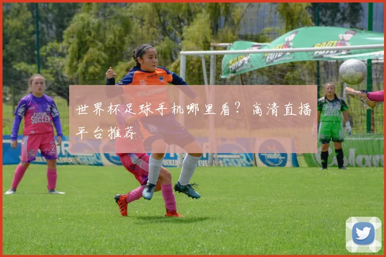 世界杯足球手机哪里看?高清直播平台推荐