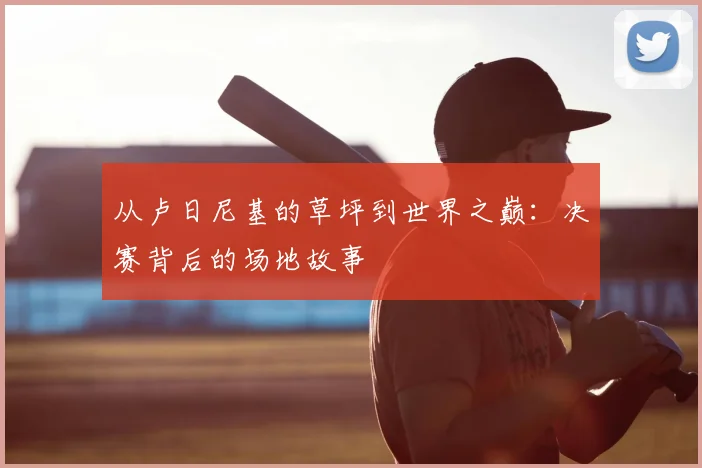 从卢日尼基的草坪到世界之巅:决赛背后的场地故事