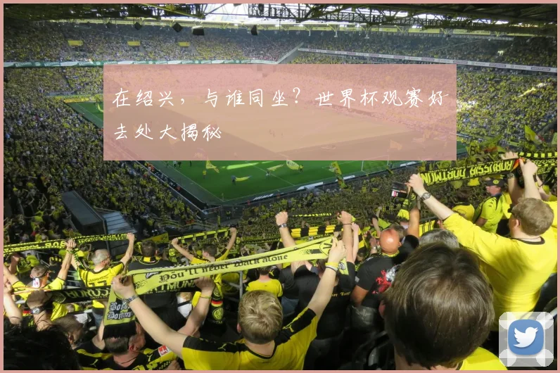 在绍兴，与谁同坐？世界杯观赛好去处大揭秘