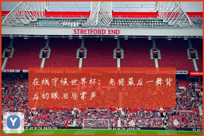 在线守候世界杯：老将最后一舞背后的眼泪与掌声