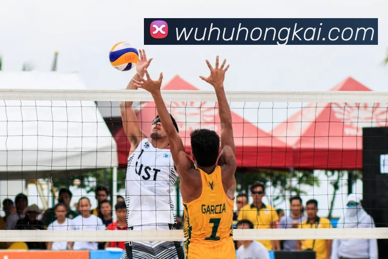 App Interface Preview